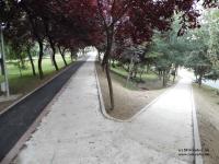 Imagine atasata: Tinereții - Traian (3).JPG